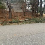 Sidewalk Obstruction at 5–7 Weathervane Rd