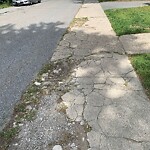 Sidewalk Repair at 24 Colson St, North Billerica