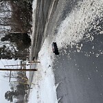 Plow Damage at 179 Pollard St, North Billerica