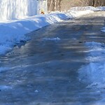 Roadway Plowing/Sanding at 111 Pheasant Rd