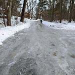 Roadway Plowing/Sanding at 16 Edgeworth St