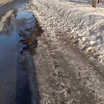 Roadway at 13 Ichabod Ln