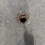 Other at 14 Community Rd