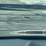 Other at 8 Tomahawk Dr