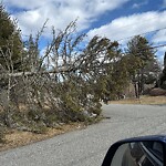 Damaged Sign at 42.548N 71.313W