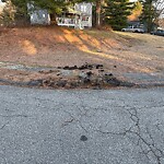 Plow Damage at 1–99 Governor Endicott Rd