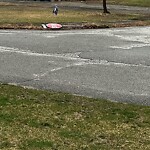 Damaged Sign at 11 Lasallette Rd