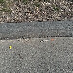 Street Sweeping at 70 Glad Valley Dr