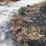 Street Sweeping at 3 Sylvan Rd