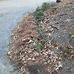 Street Sweeping at 2 Sylvan Rd