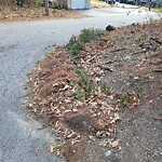 Street Sweeping at 2 Sylvan Rd