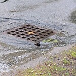 Pothole at 8 Whittier Rd