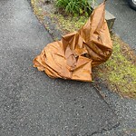 Trash/Recycling at 73 Marshall St