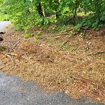 Other at 21 Riverdale Rd