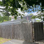 Public Trees at 22 Burlington Rd