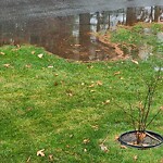 Stormwater at 9 Shawsheen Rd
