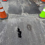 Roadway at 15 South St