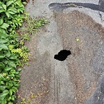 Roadway at 6 Carriage Rd