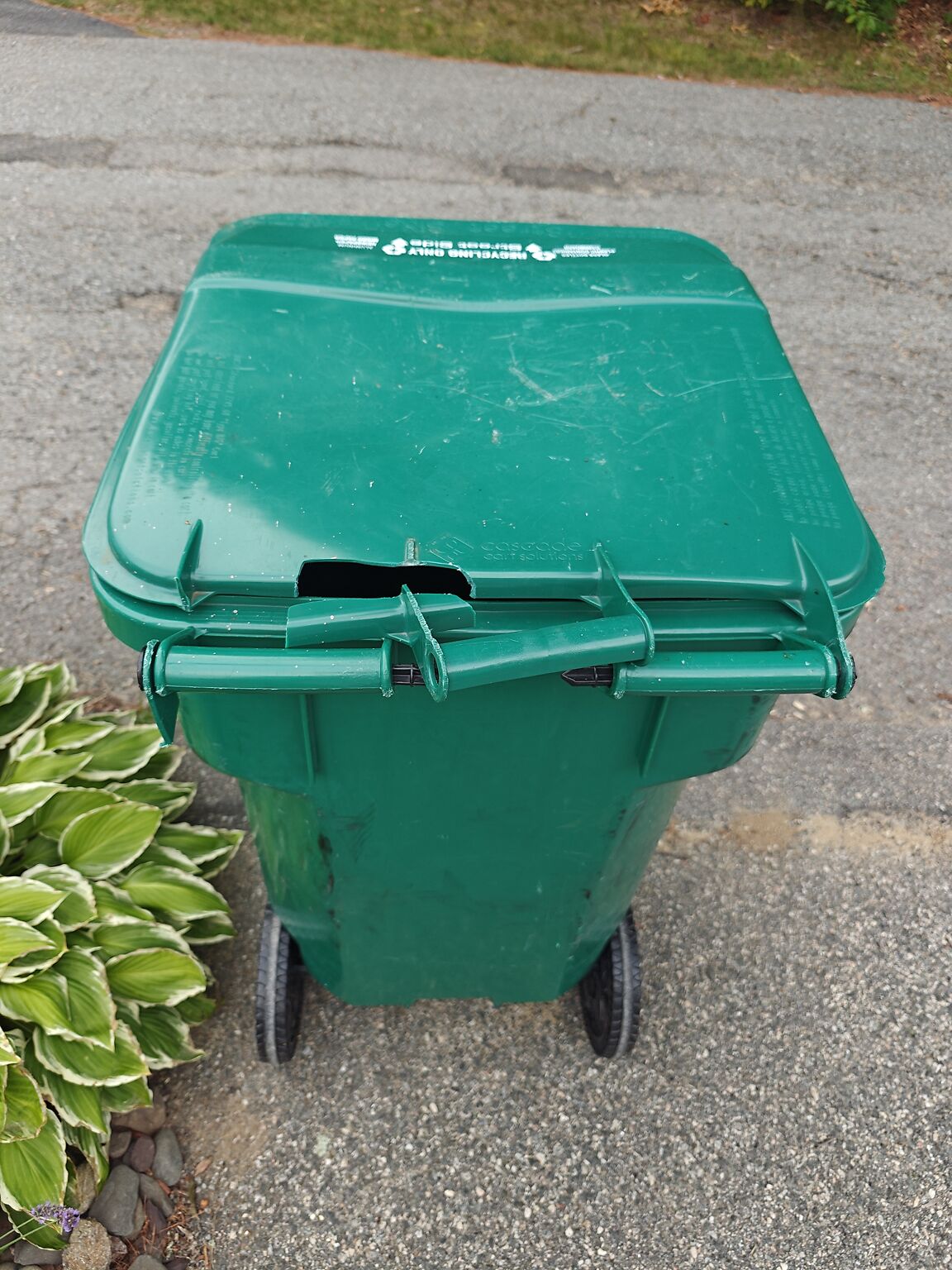 17527497684322494232748852496749