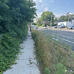 Sidewalk Obstruction at 819 Boston Rd