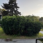 Line of Sight Obstruction at 4 Pequot St, North Billerica