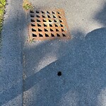 Roadway at 2–98 Homestead Ln