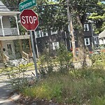 Other at 1–99 Charlesmere Rd, North Billerica