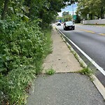 Sidewalk Obstruction at 63 Salem Rd