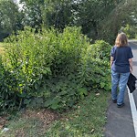 Line of Sight Obstruction at 227–229 High St, North Billerica 01862