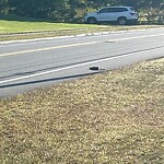 Roadway at 67 Glad Valley Dr