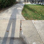 Sidewalk Repair at 49 Talbot Ave, North Billerica