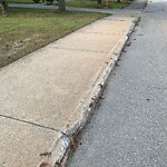 Sidewalk Repair at 45 Talbot Ave, North Billerica