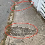 Sidewalk Repair at 19 Colson St, North Billerica