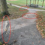 Sidewalk Repair at 42.59 N 71.29 W