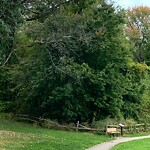 Public Trees at 42.59 N 71.29 W