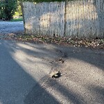 Pothole at 1–13 Mc Ginness Way