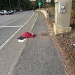 Street Sweeping at Treble Cove Rd, North Billerica