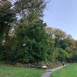 Public Trees at 42.59 N 71.29 W