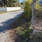 Sidewalk Obstruction at 2–6 Carson St