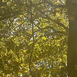 Parks at 42.56 N 71.27 W