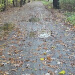 Roadway at 25 Mellon Rd, North Billerica