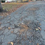Pothole at 38 Blackwood Ave