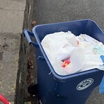 Trash/Recycling at 7 Charnstaff Ln