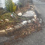 Other at 13 Columbia Rd