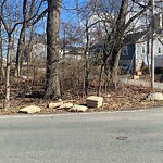 Trash/Recycling at 17 Reardon Rd