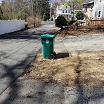 Trash/Recycling at 1 Stewart St