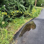 Other at 6 Carriage Rd, North Billerica