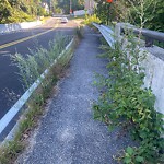 Sidewalk Obstruction at Eliot St
