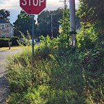 Line of Sight Obstruction at 5 Mason Ave, North Billerica