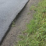 Roadway at 32 French St